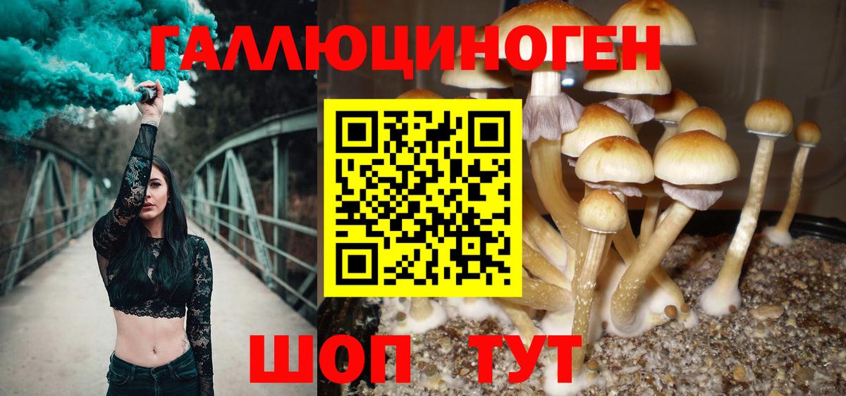 Псилоцибиновые грибы ЛСД  Вход с VPN  купить наркоту  Курск 